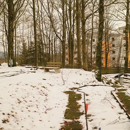 Apartman Studio In Freyung